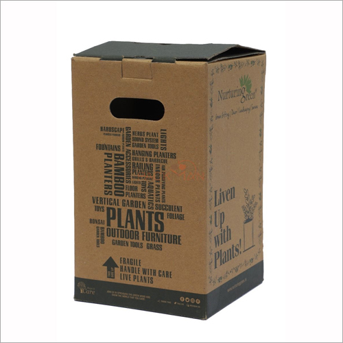 Flower Packaging Boxes