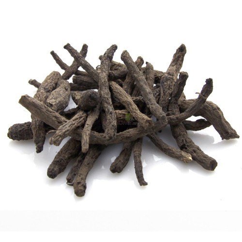 Kali Musli Extract (Curculigo Orchioides Extract)