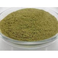 Kalmegh Extract - Andrographis Paniculata Herbal Dry Extract 10:1 Ratio, 100% Pure Green Chiretta Powder With Mild Aroma, 24-month Shelf Life In 25 Kg Hdpe Drum