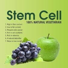Stem Cell Powder