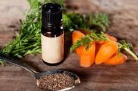 Carrot Seed Oil - 100% Pure, Cold Pressed , Rich In Beta-carotene Antioxidants, Earthy Sweet Aroma, Unisex, 24-month Shelf Life