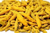 Turmeric Oil Extract