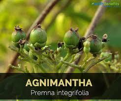 Agnimantha Herbs