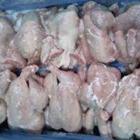 Pollo entero congelado de Halal