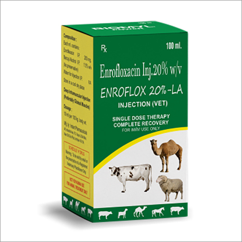 Liquid Enrofloxacin 20 % W-V Veterinary Injection