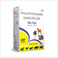 Amoxycillin and Cloxacillin Veterinary Injection
