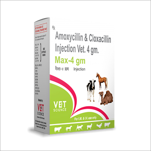 Amoxycillin and Cloxacillin Veterinary Injection