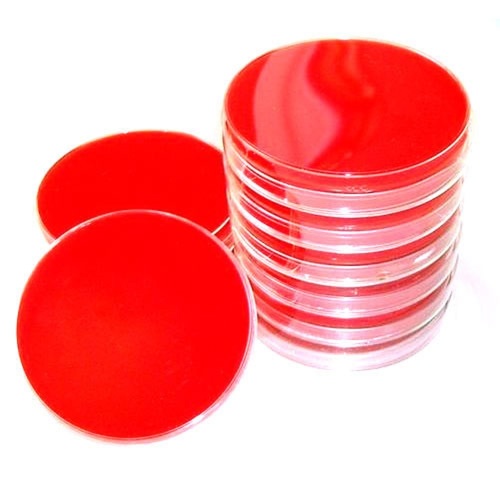 Sheep Blood Agar Plates - 500 Milliliter Plastic , 50 Plates for Growing Fastidious Organisms and Differentiating Bacteria by Hemolytic Properties