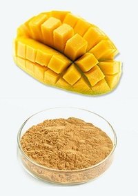 Mango Extract (Mangifera Indica Extract)