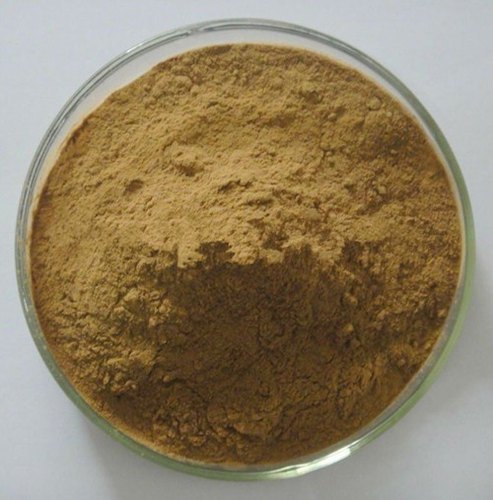 Meswak Extract (Salvadora Persica Extract)