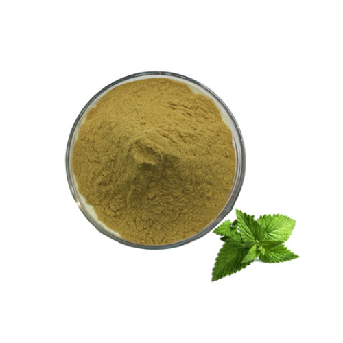 Peppermint Extract (Mentha Piperita Extract)