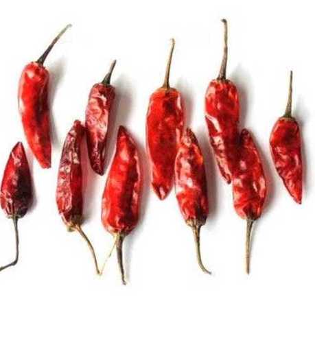 Dry Red Chilli Moisture (%): Any