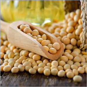 Organic SoyaBean