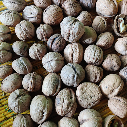 Raw Walnuts