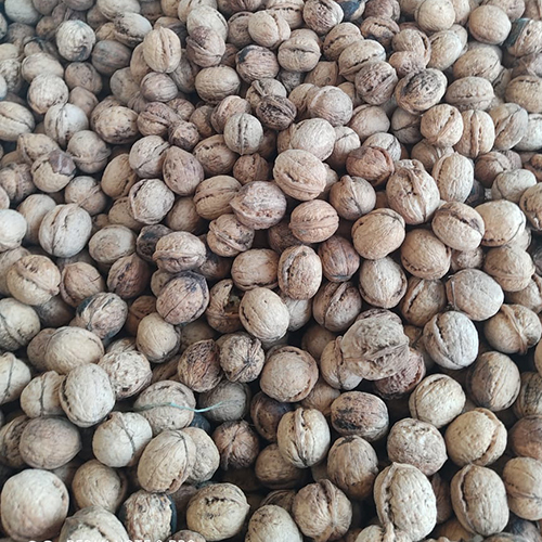 Best Quality Raw Walnuts