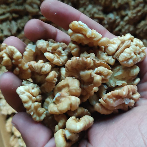 Dry Walnuts
