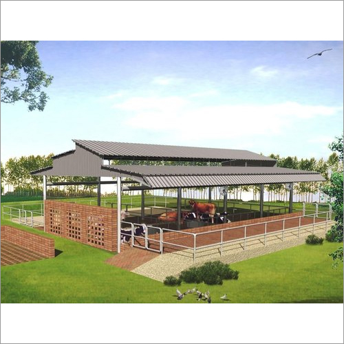 Prefabricated Cattle Shed
