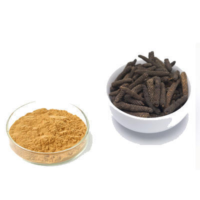 Piper LongumExtract (Piper Longum Extract)