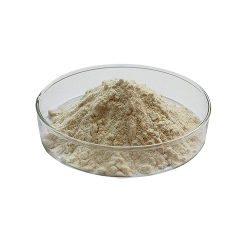 Piperine 95% (Piper Nigrum Extract)