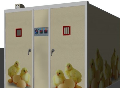incubadora, incubadoras del huevo, equipos de las aves de corral