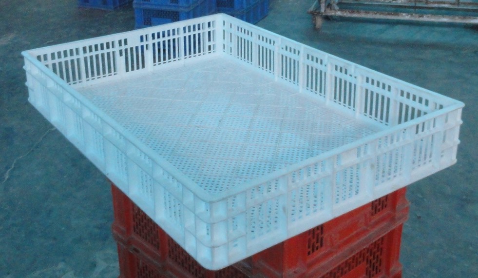 incubator, egg incubators, poultry equipments