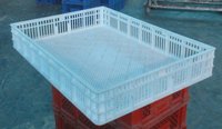 incubator, egg incubators, poultry equipments