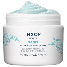 H2O Day Cream