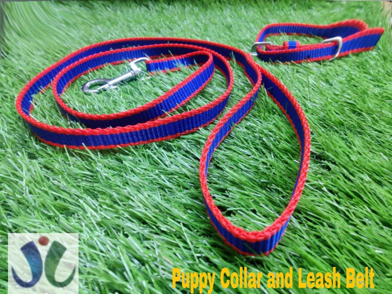 dog collars