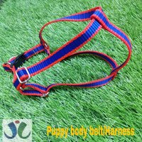 dog collars