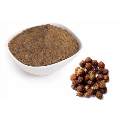 Soapnut Extract (Sapindus Mukorossi Extract)