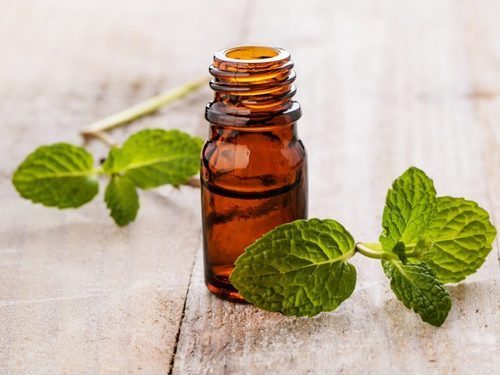 Spearmint Oil (Mentha Spicata Oil) By KSHIPRA BIOTECH PRIVATE LIMITED