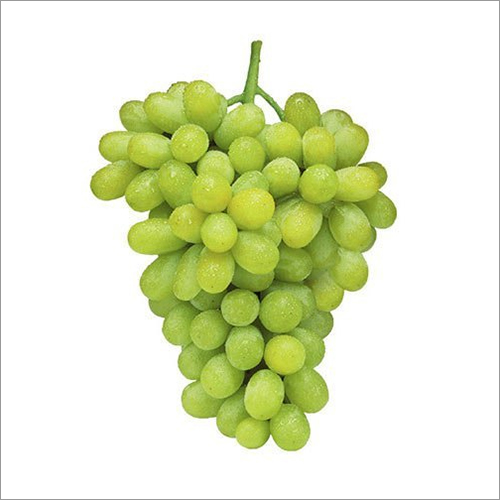 Fresh Grapes By YS ENTERPRISE