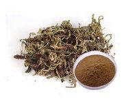 Valerian Extract (valeriana Officinalis Extract_)