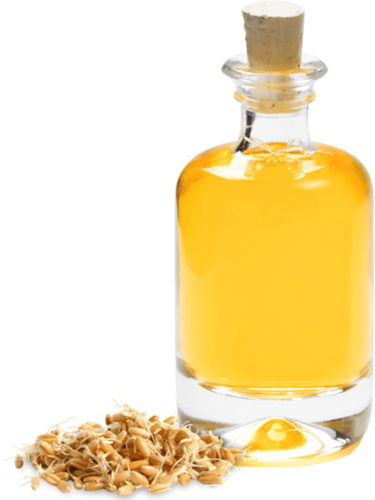 Wheat Germ Oil (Triticum Vulgare Oil)