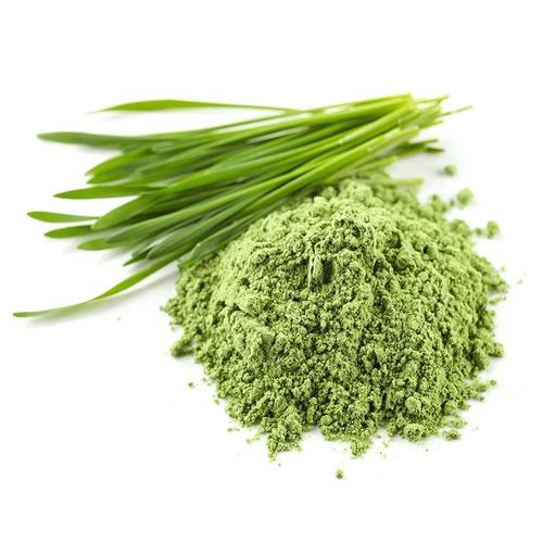 Wheat Grass Powder (Thinopyrum Intermedium Extract)