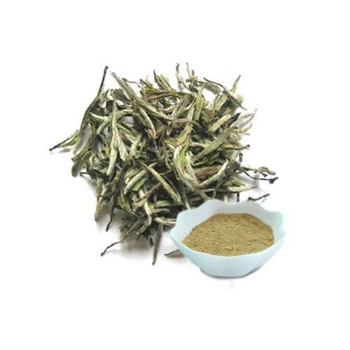White Tea Extract Powder (Camellia Sinensis Extract)