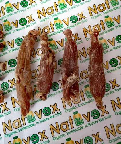 Red Korean Ginseng Root - High Grade mature 5-6 years - Red Panax Roots