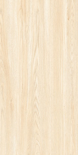 Porcelain Matte Finish Tiles