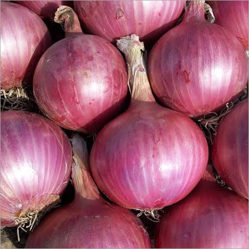 Red Onion