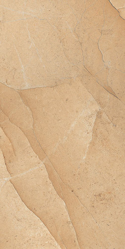 Living room porcelain matte tiles