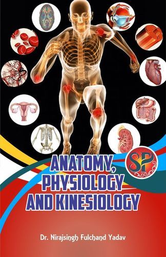 Anatomy Physiology And Kinesiology