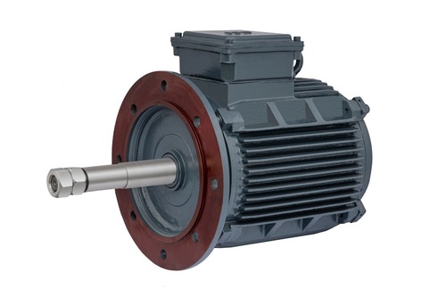 Cooling Tower 3 Phase Induction Motor By SINGLA MOTORS PVT. LTD.