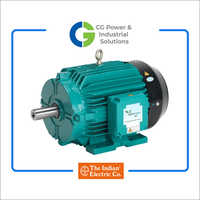 Crompton IE2 High Efficiency Motors