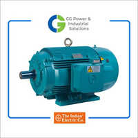 CG Crusher Duty Motors