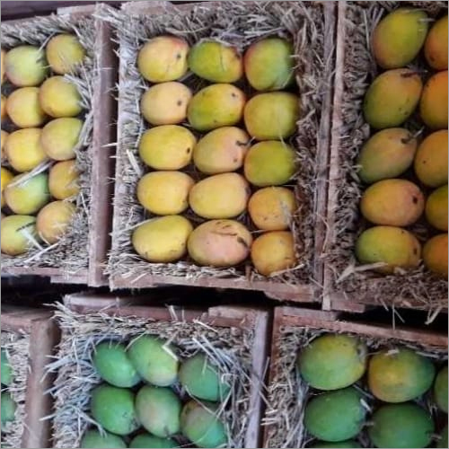 Organic Pure Alphonos Mango