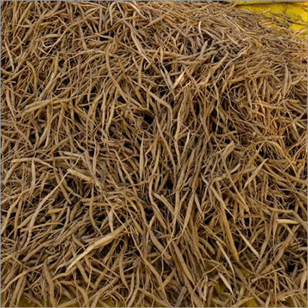Dry Shatavari Root