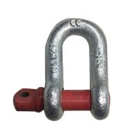Steel Dee Shackle