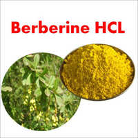 Berberine Hydrochloride - Powder Form, Water Soluble, Yellow Color | Accurate Composition For Diabetes, Cholesterol, Skin Burns