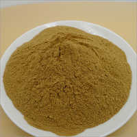 Belladonna Extract Powder