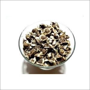Moringa Seeds